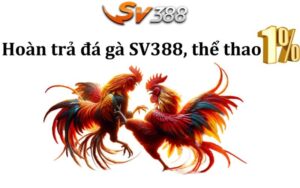 Hoàn Trả SV388 - Tìm Hiểu Cách Nhận Thưởng Hoàn Trả Tại SV388